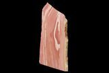 Polished Pink Opal Slab - Western Australia #152110-2
